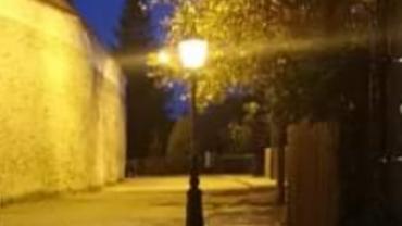 72743726 675915642899161 4229898515695796224 N