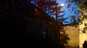 73311269 1057396344599555 412844926645043200 N