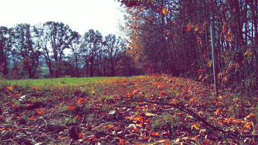 73325420 2543595599058604 6931061778101043200 N