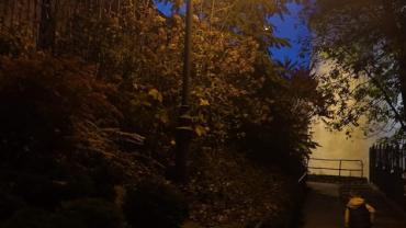 73375650 795232350918966 7526182999369449472 N