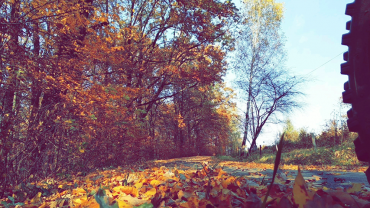 73539748 2598440713533182 5242045174321774592 N