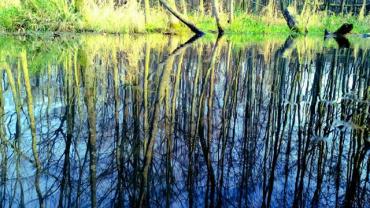 75553052 470016743513422 7827234754842853376 N