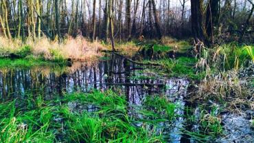 78677032 1524371507700634 2408833589077606400 N