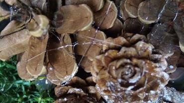 78999723 2817503188287802 7233130083613933568 O