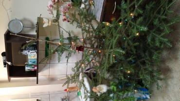 Img 20191217 162849 001 Cover