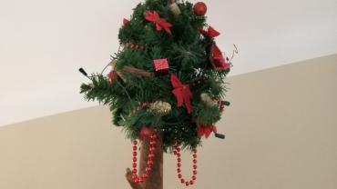 Img 20191217 1629131