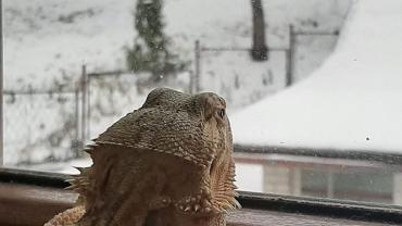 78750240 1201233263420013 4023166436770840576 N