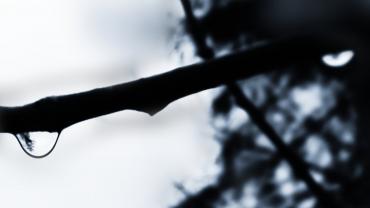 Polish 20200101 220830265